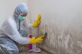 Best Mold Remediation for Rental Properties  in USA